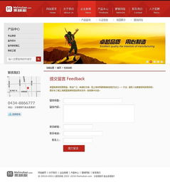 网站设计与网页设计 数字时代的视觉与功能交响曲